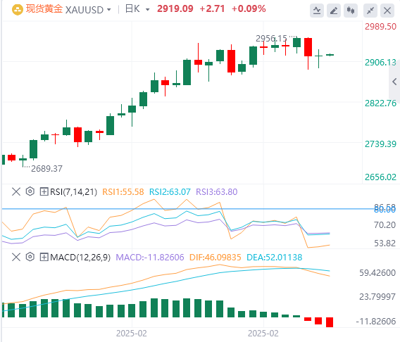 FxPro浦汇 Forex Gold Analysis: Gold price fluctuates at $2,900, and the rally is w